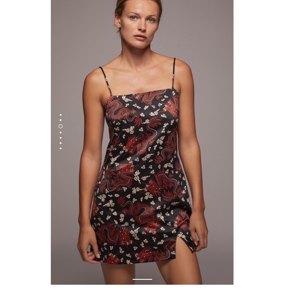 NWT Zara Dragon Dress